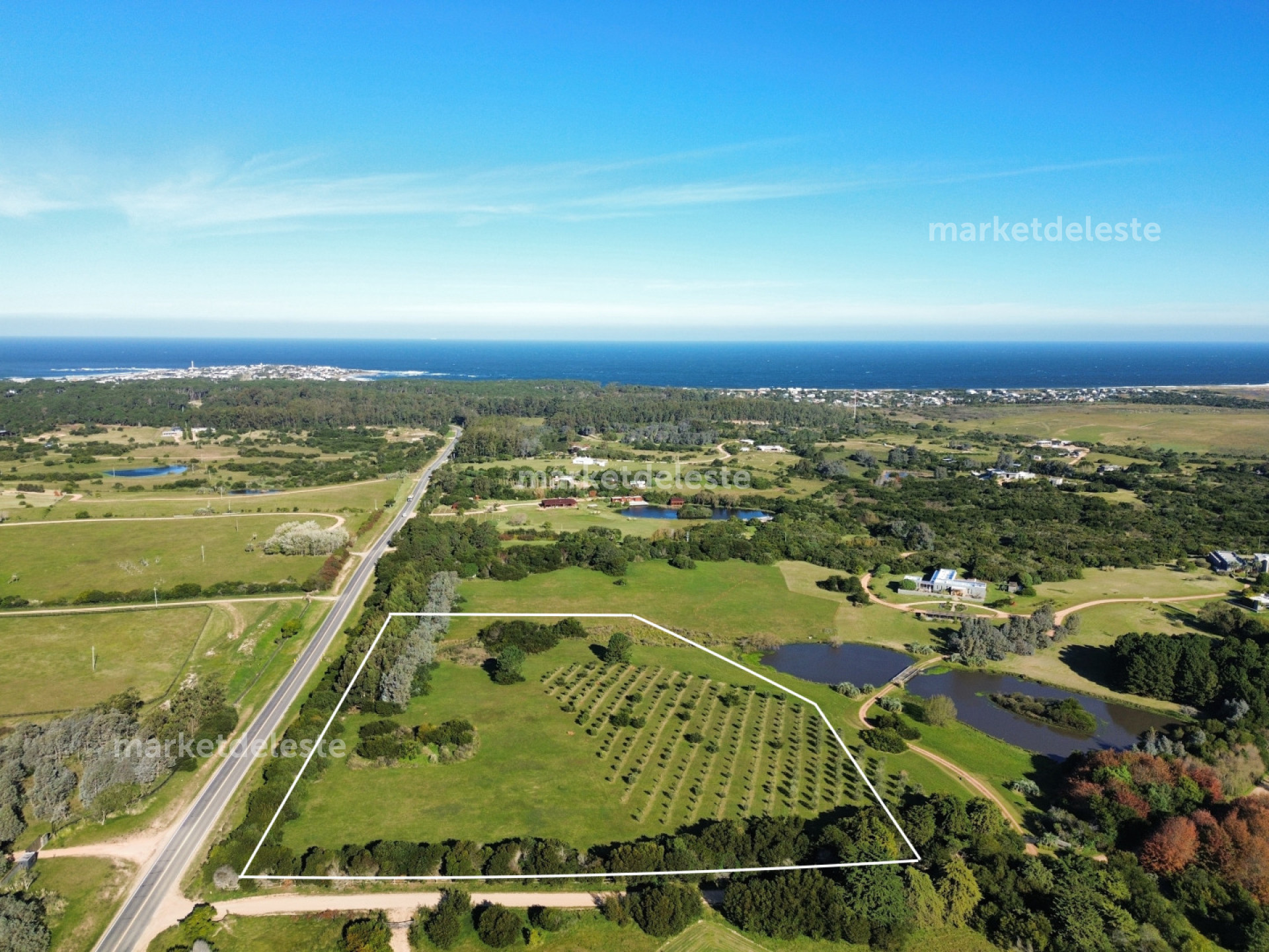 CHACRA EN JOSE IGNACIO - 3 HAS - MKT8149H