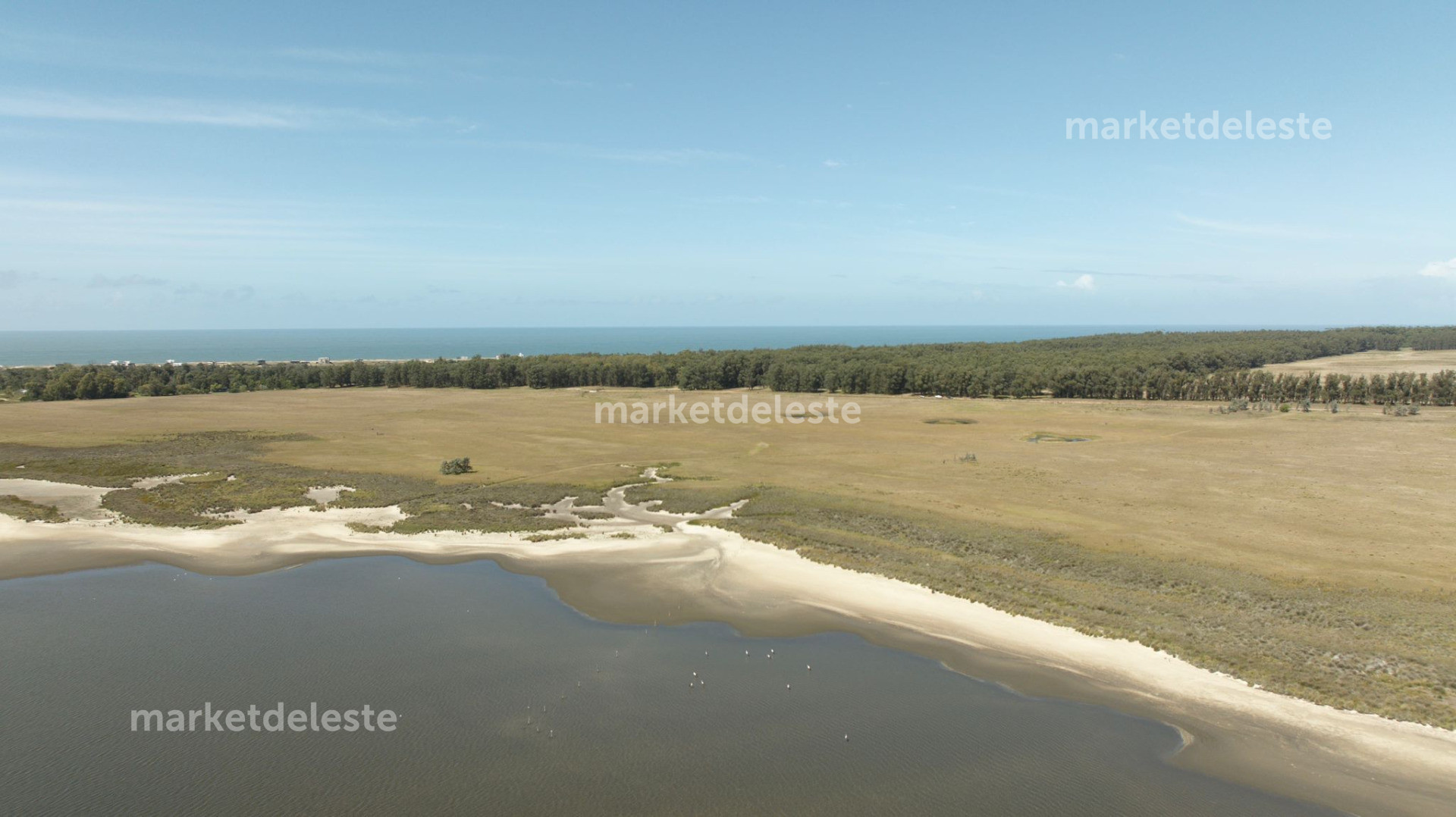 Chacra de 15 hectáreas con costa a la Laguna de José Ignacio - MKT7984H