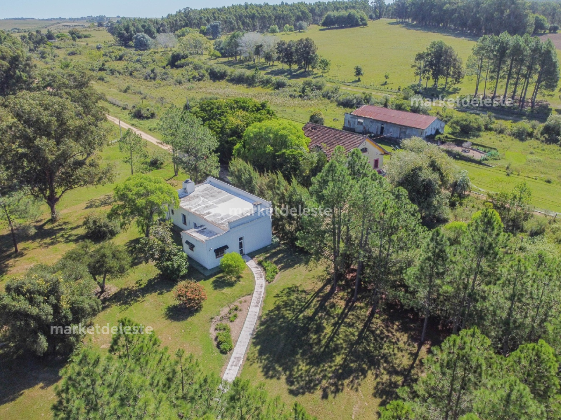 Chacra ID.6277 - CHACRA PATRIMONIAL EN JOSÉ IGNACIO