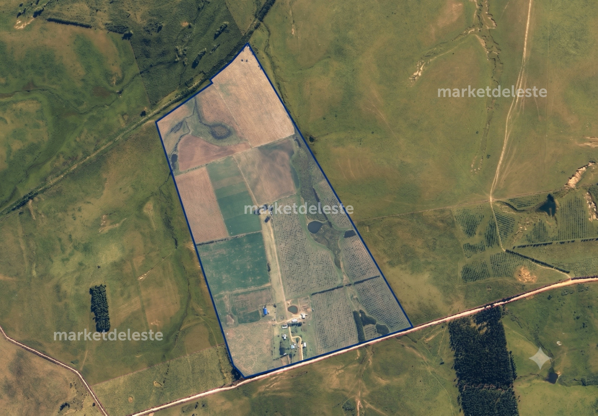 CAMPO EN JOSE IGNACIO  - MKT8421P