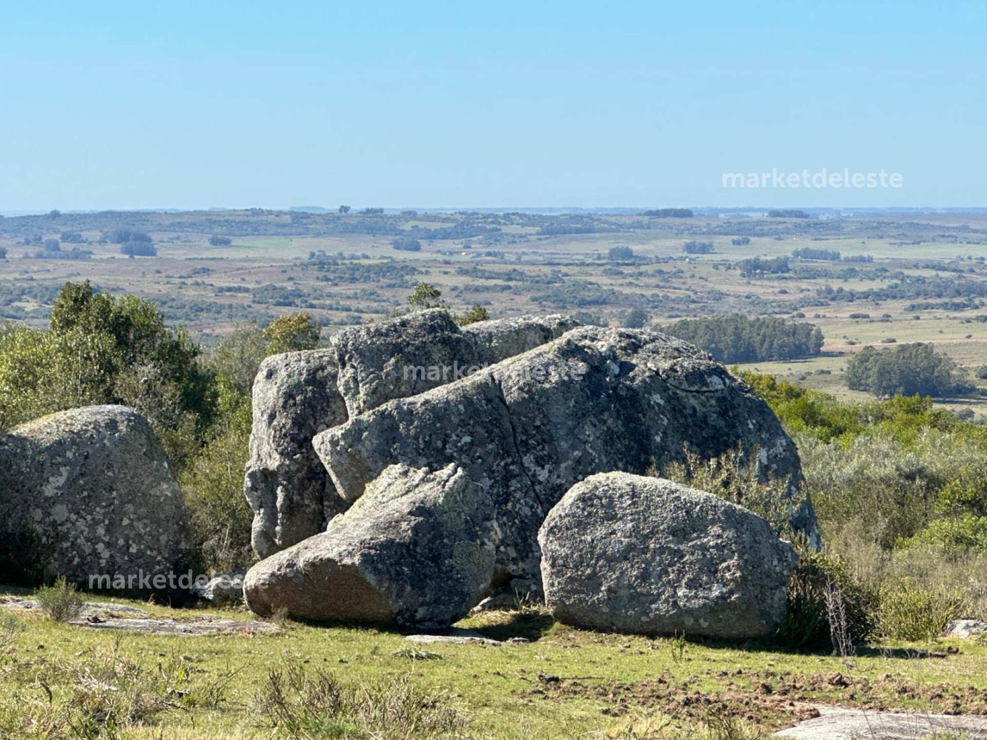 CAMPO 155 HÁS EN GARZON  - MKT8460P