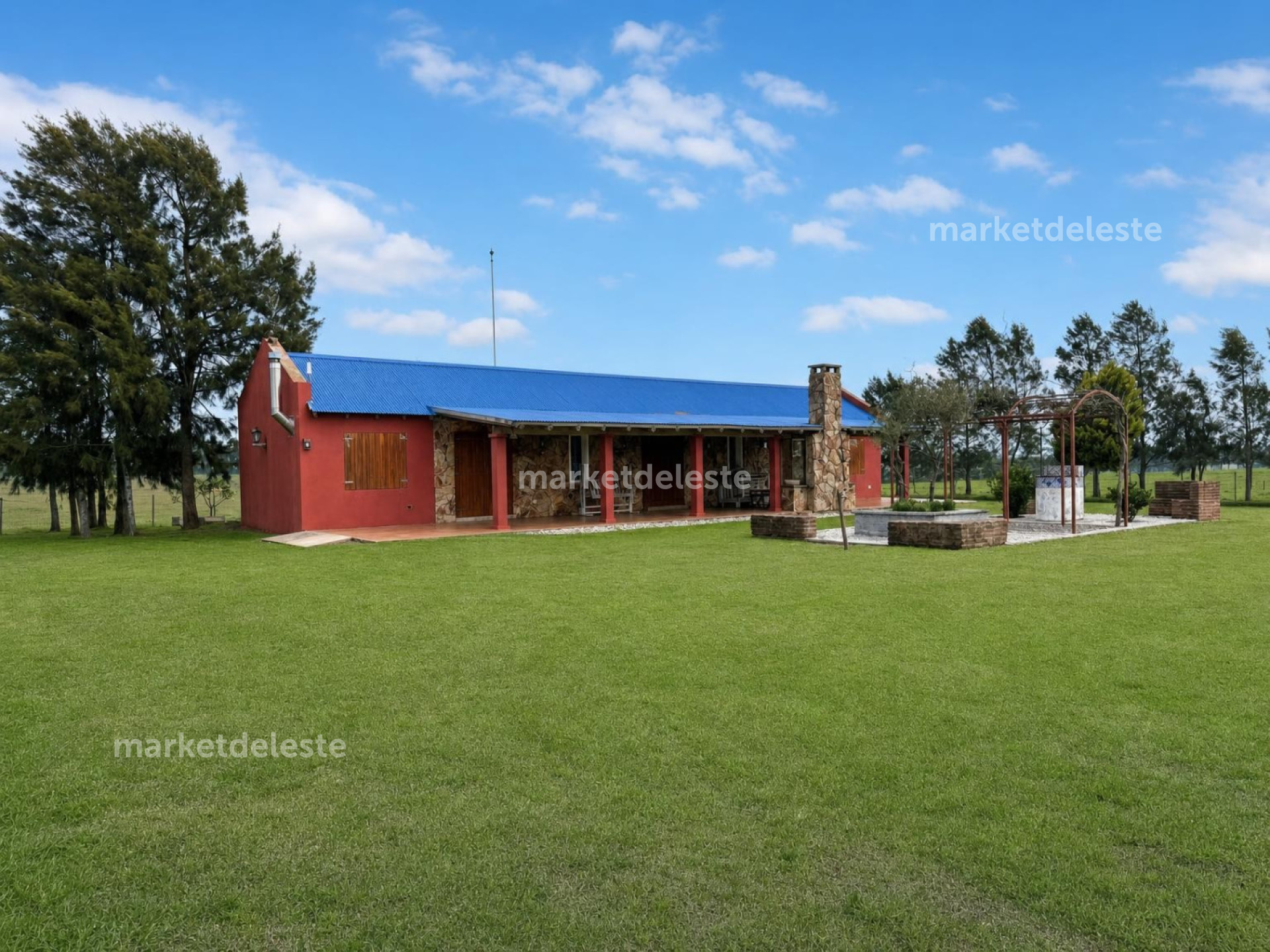 CAMPO EN JOSE IGNACIO  - MKT8421P