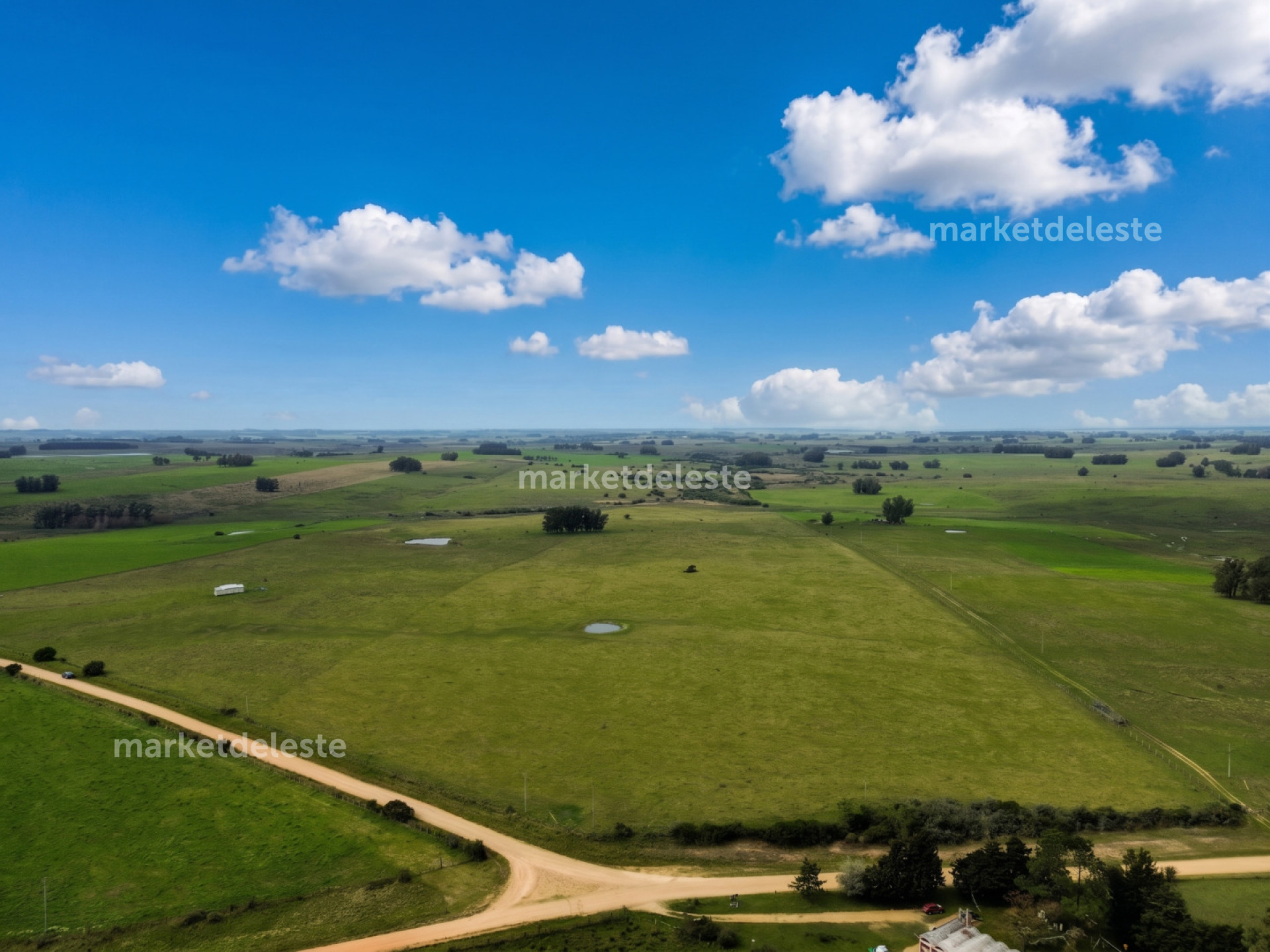 CAMPO EN JOSE IGNACIO NORTE - MKT8420P