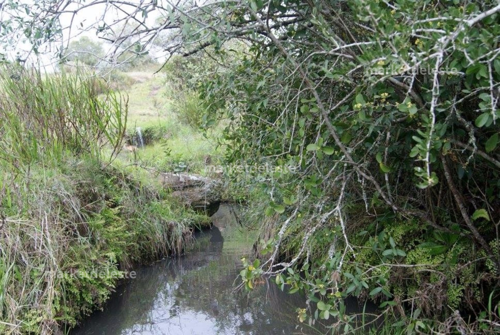 Campo Ref.3760 - OTRAS LOCACIONES