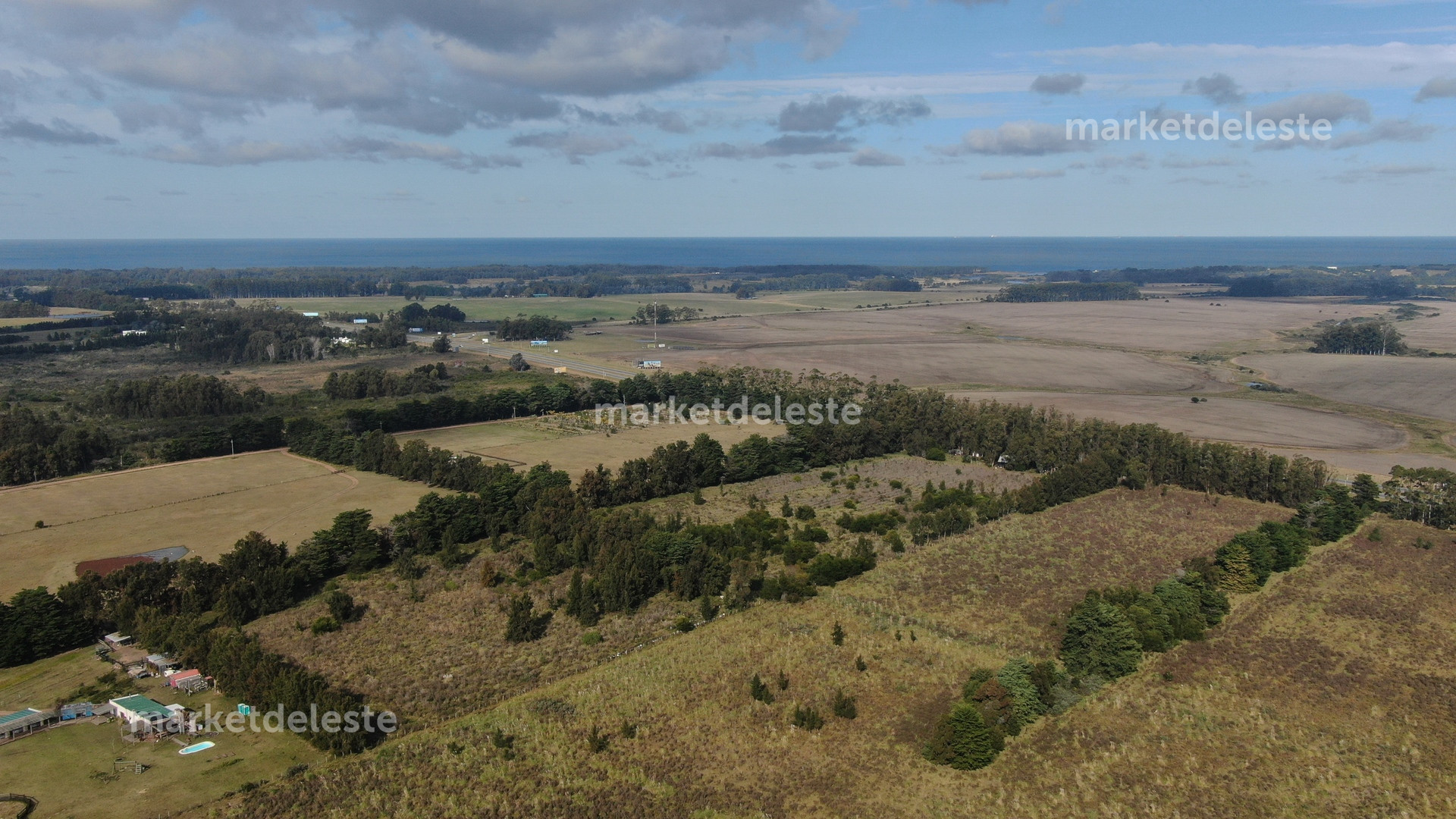 Campo Ref.5382 - CAMPO - 6 HAS 