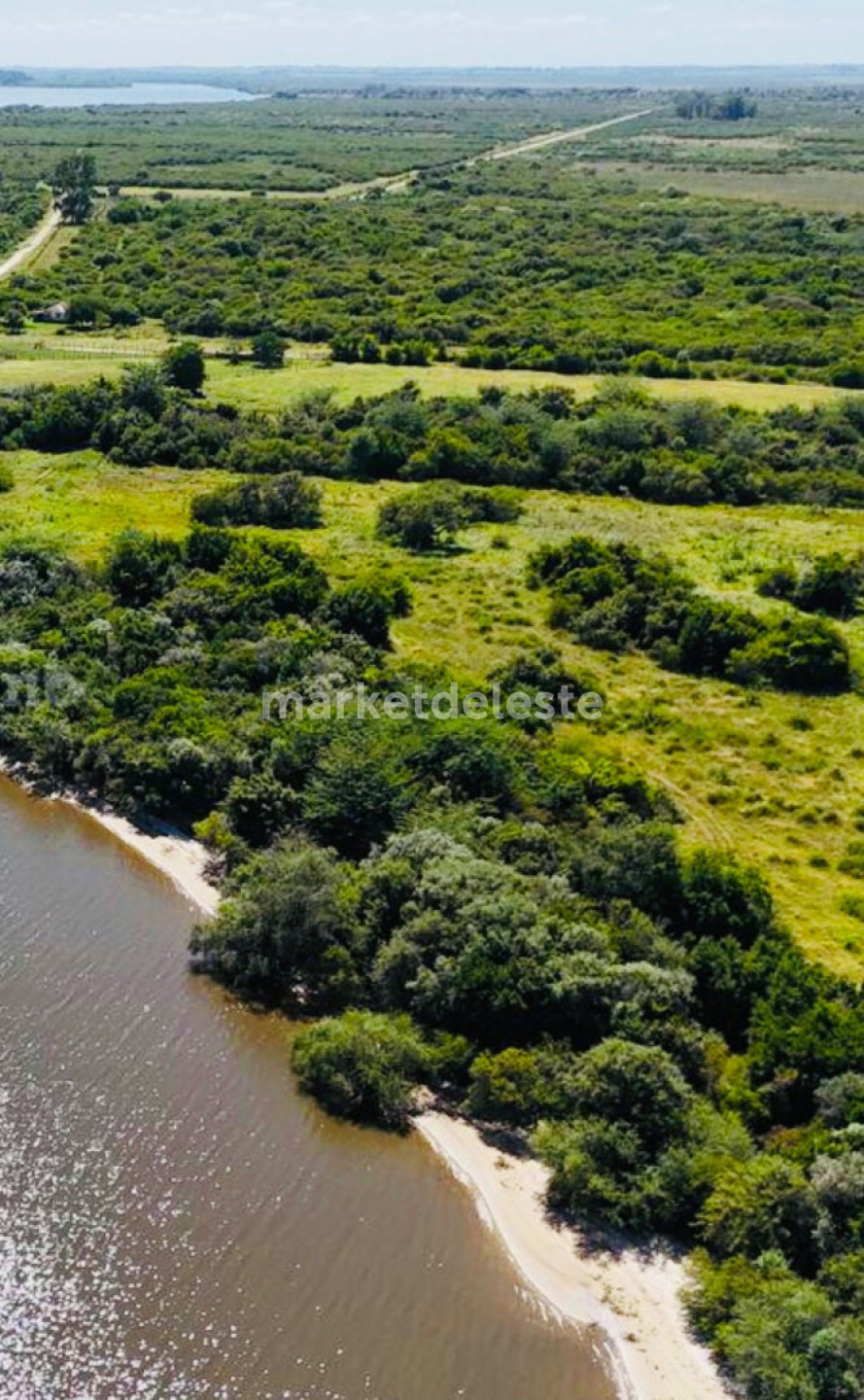 Campo Ref.7860 - CAMPO UNICO SOBRE RIO NEGRO - TURISTICO GANADERO