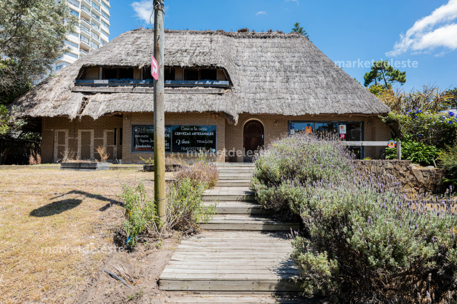 Local Comercial ID.4877 - LOCAL COMERCIAL - AV PEDRAGOSA SIERRA