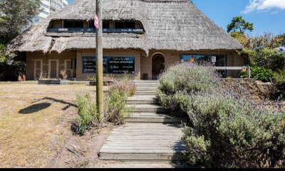 LOCAL COMERCIAL - AV PEDRAGOSA SIERRA