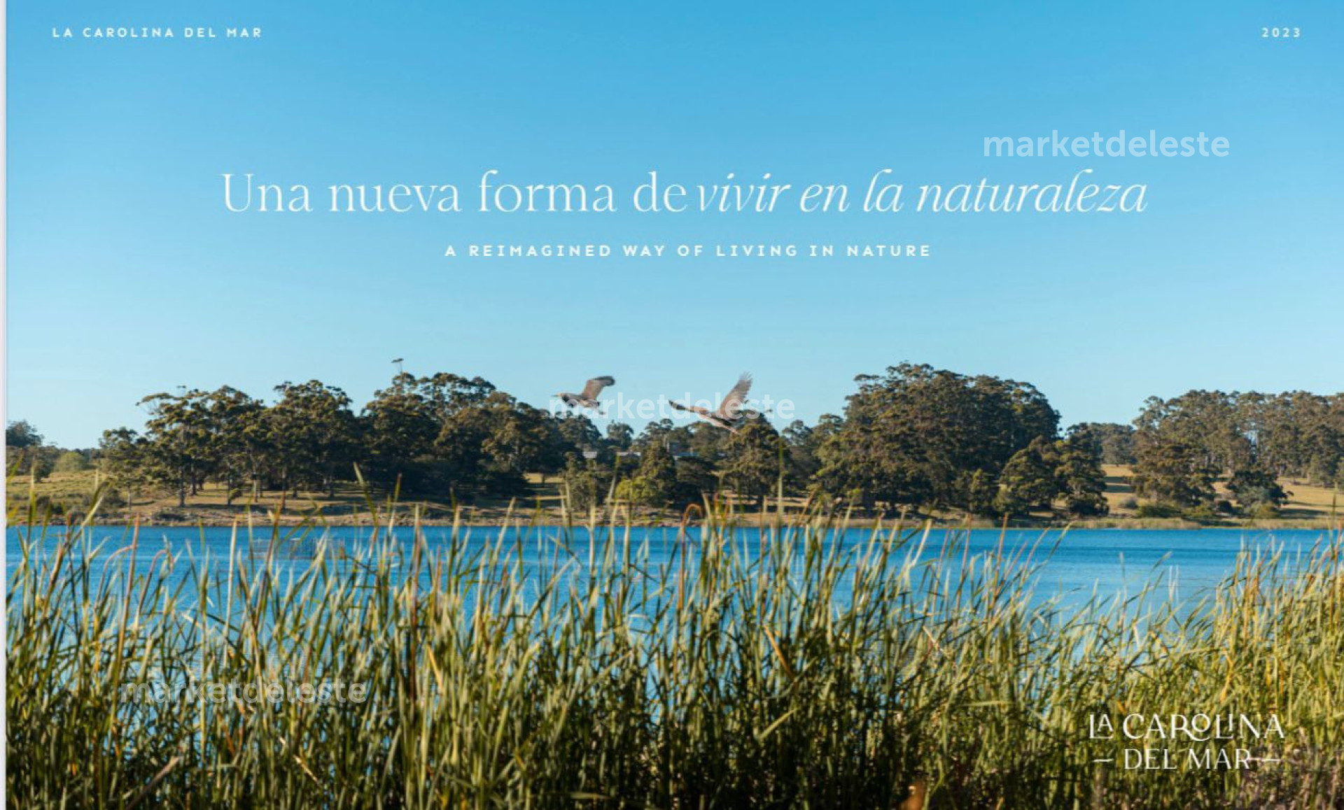 LA CAROLINA LOTE SOBRE LAGO CENTRAL - MKT8062T