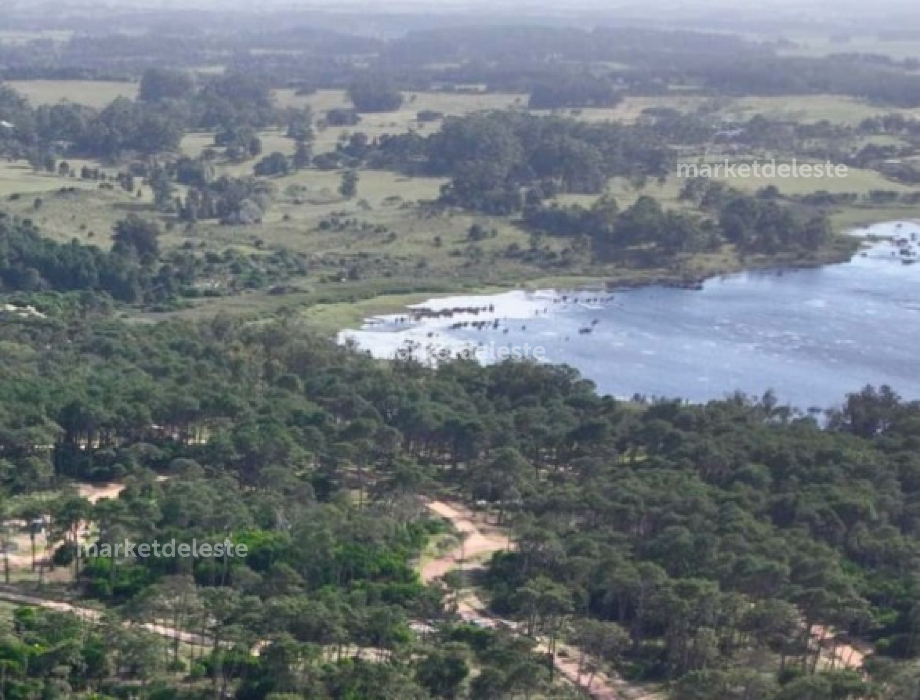 Terreno ID.7830 - TERRENO SOBRE LA LAGUNA BLANCA EN RESERVA MONTOYA-LA BARRA