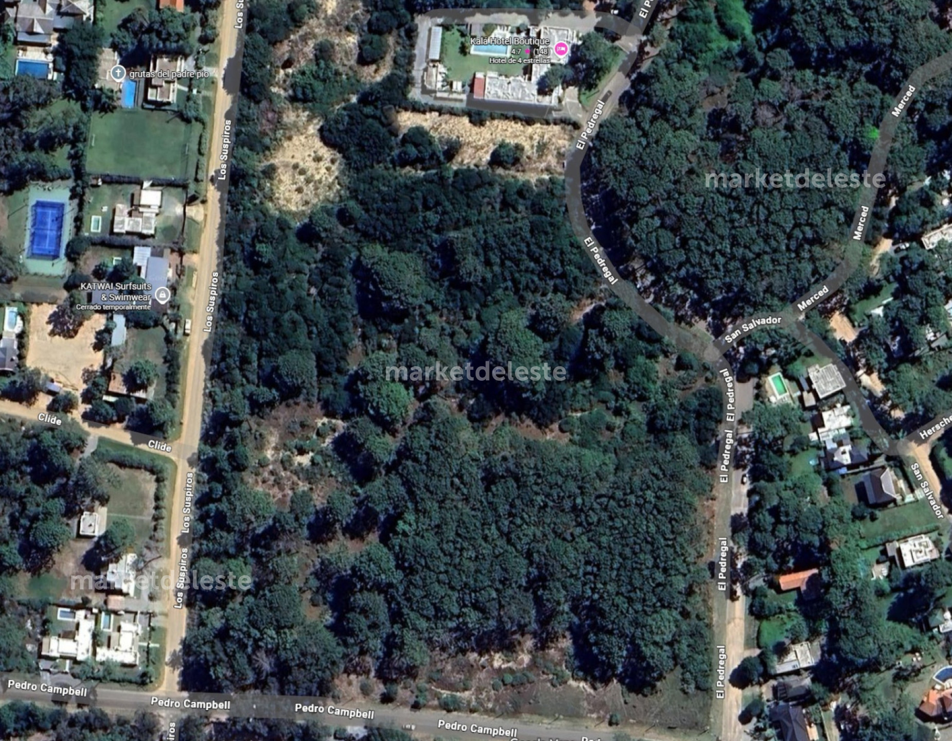 Terreno ID.7719 - TERRENO MONTOYA PARA EDIFICIO