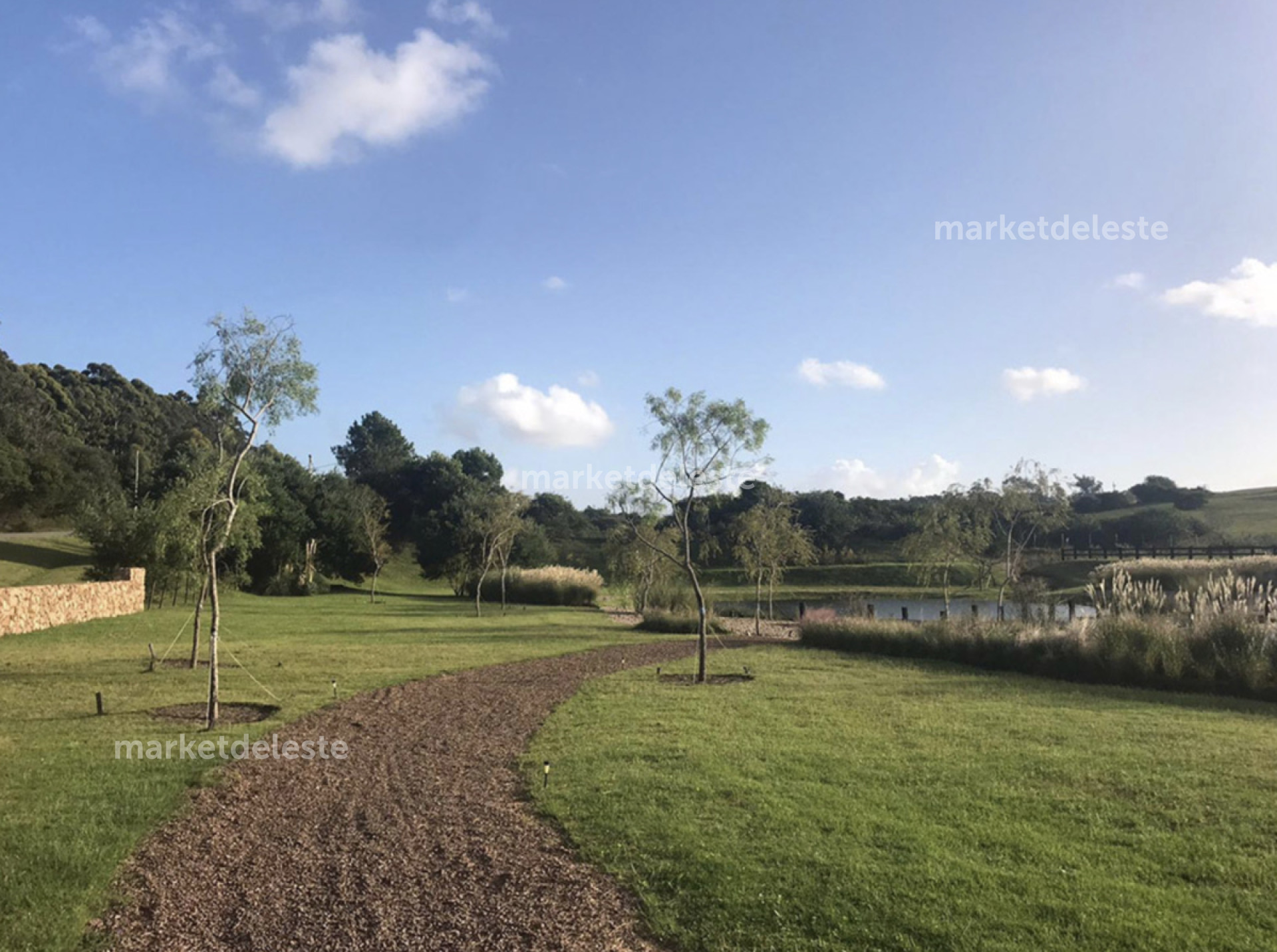 Terreno ID.6983 - CHACRAS DE JOSÉ IGNACIO - LOTE DE 4.000 M2