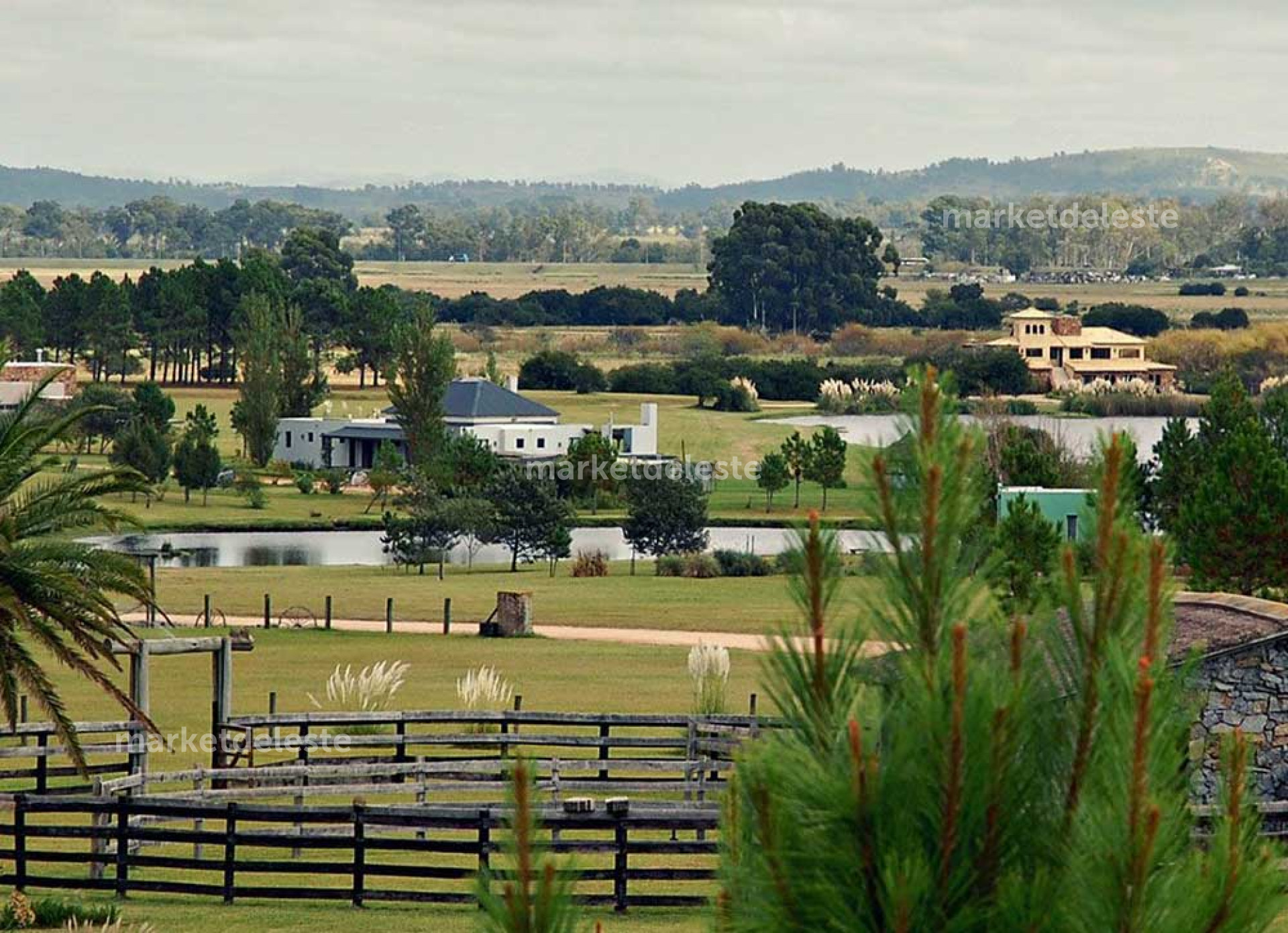 Terreno ID.6762/ - LOTE EN EL QUIJOTE - 5000 M2