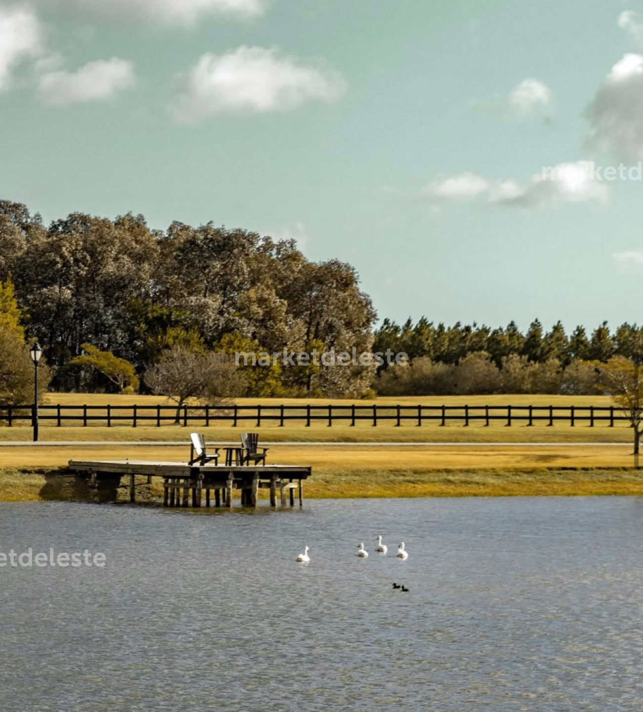 FASANO PUNTA DEL ESTE - EN VENTA LOTE - MKT8272T
