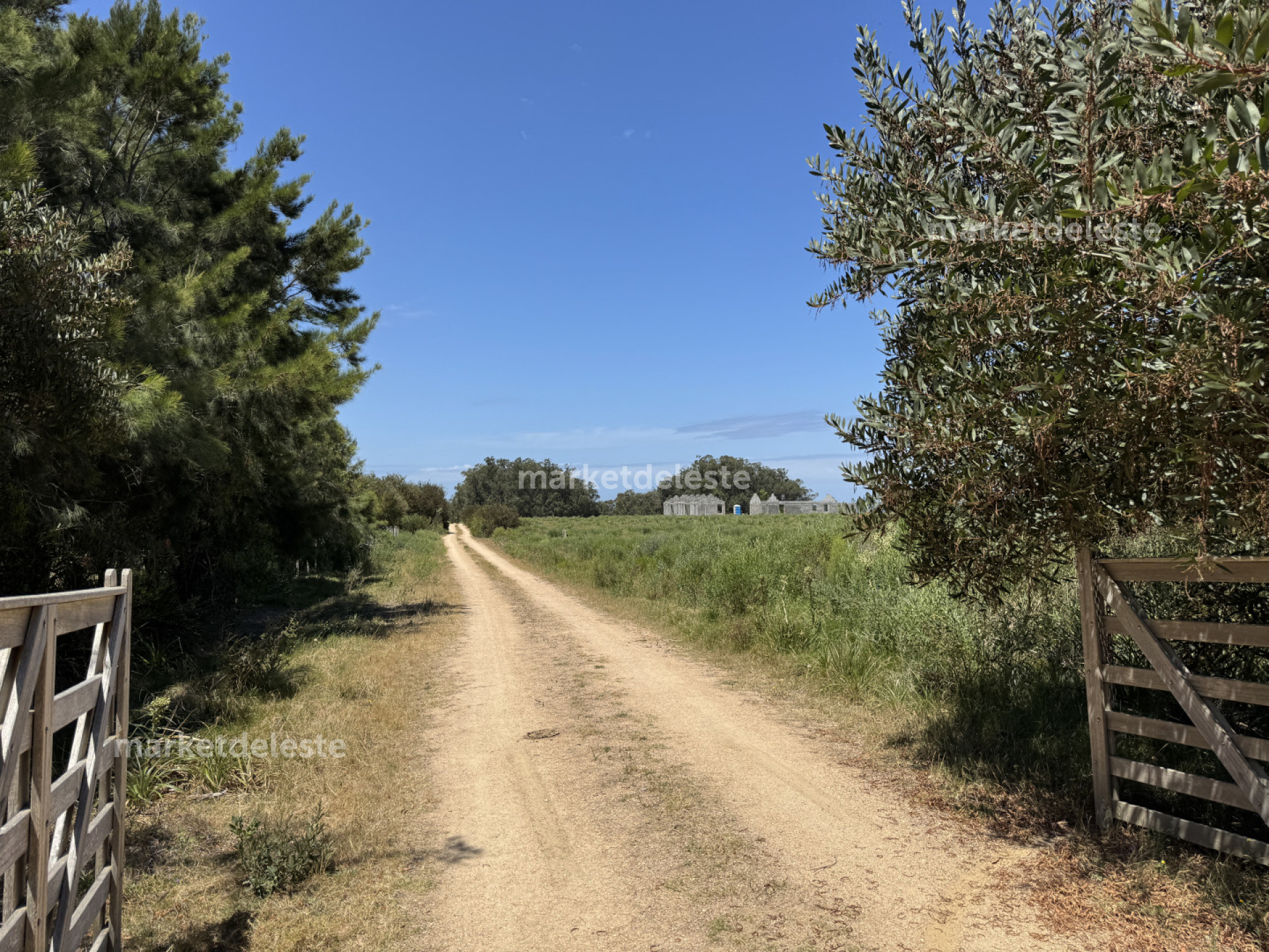 Terreno ID.6443 - OPORTUNIDAD - LOTE JOSÉ IGNACIO