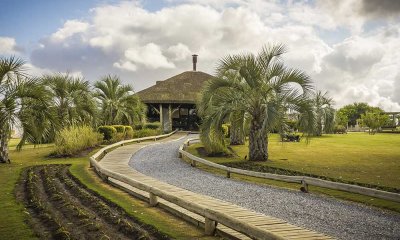 LOTE PRIVILEGIADO - EL QUIJOTE