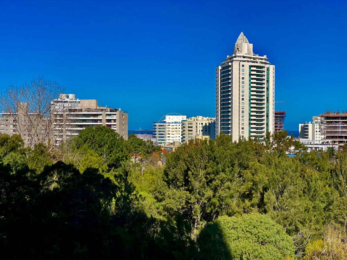 Apartamento ID.1921 - Apto con vista al mar de 2 dormitorios en Ocean Drive 