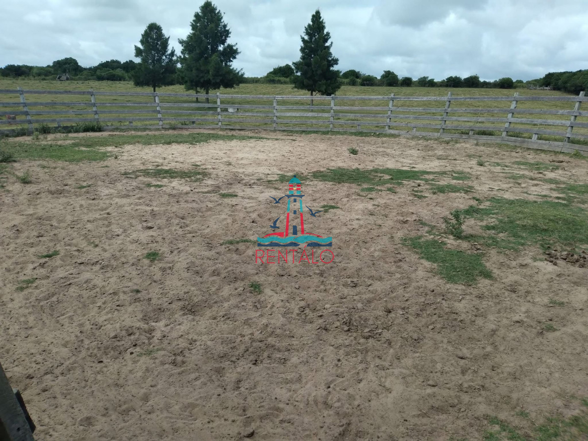 Chacra ID.442 - Venta Chacra 7 hectareas Pan de Azucar