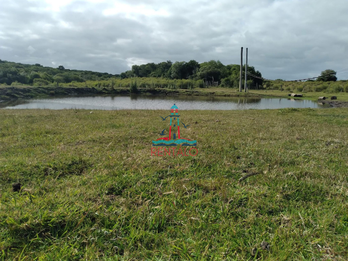 Chacra ID.442 - Venta Chacra 7 hectareas Pan de Azucar