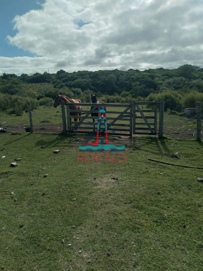 Chacra ID.442 - Venta Chacra 7 hectareas Pan de Azucar