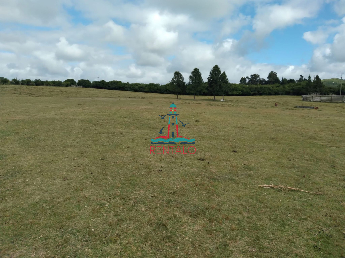 Chacra ID.442 - Venta Chacra 7 hectareas Pan de Azucar
