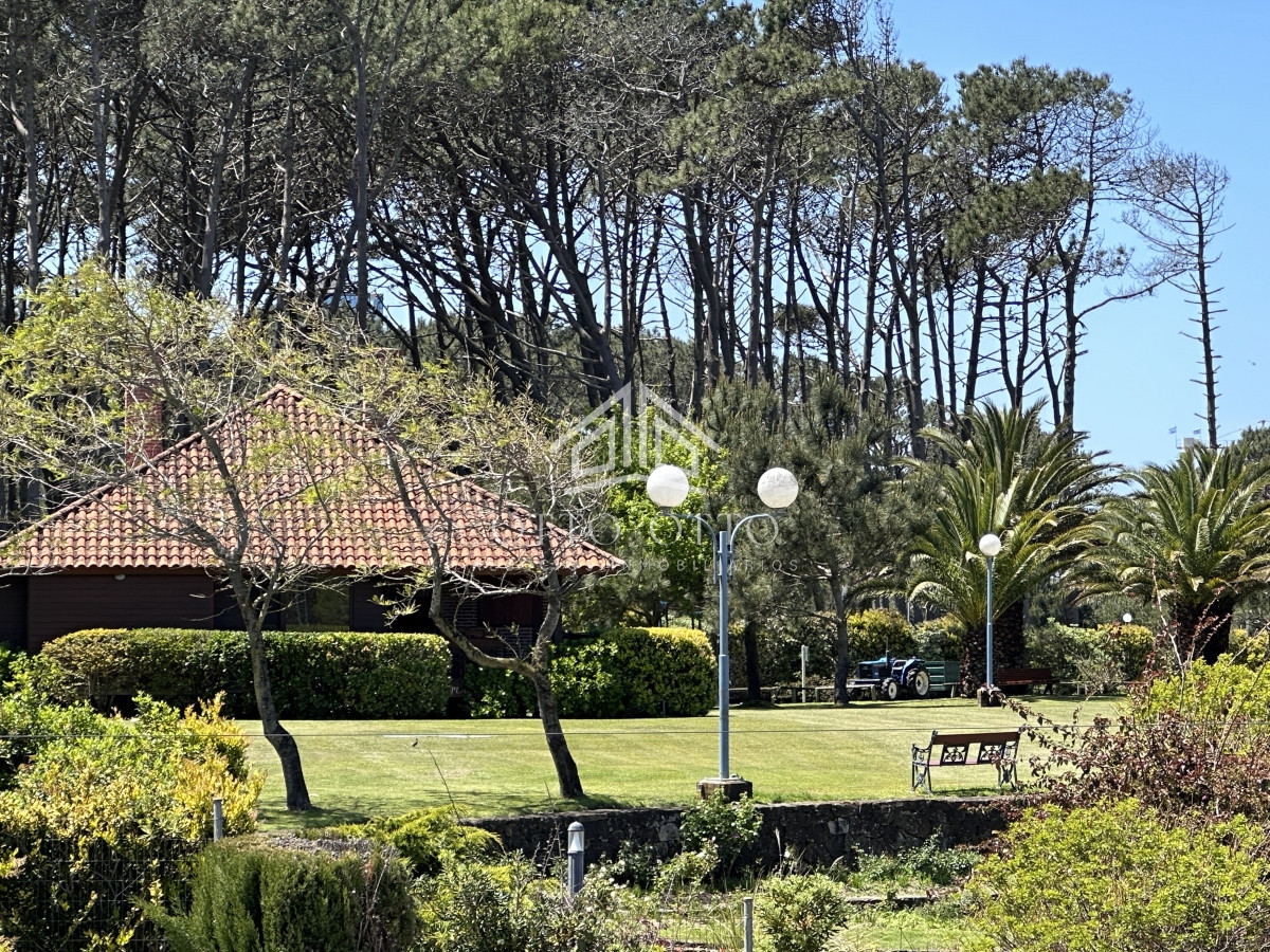Apartamento ID.26197 - Apartamento en venta de 1 dormitorio en Playa Brava, Punta del Este