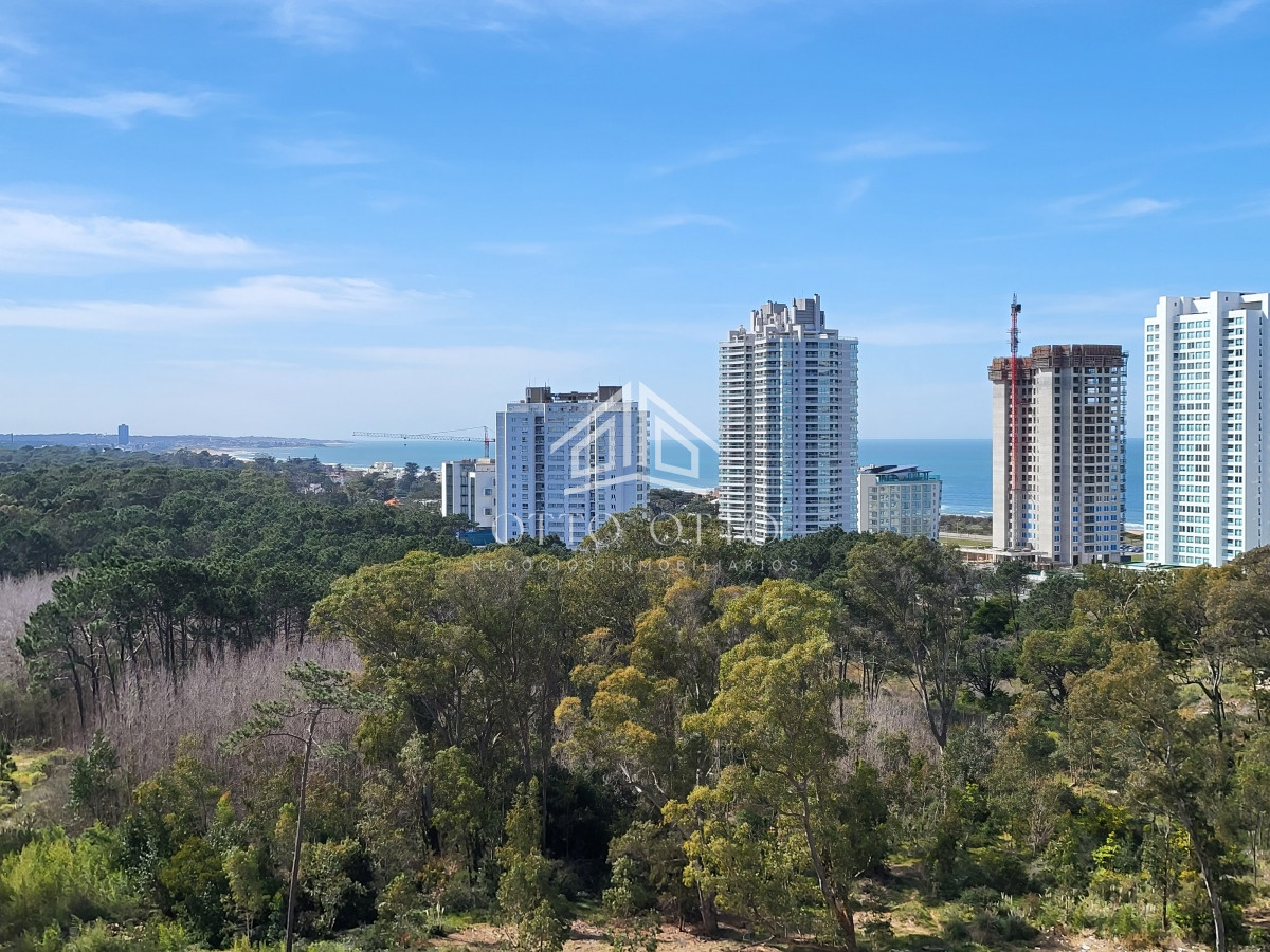 Apartamento ID.27079 - Torre de Categoría  en playa Brava 