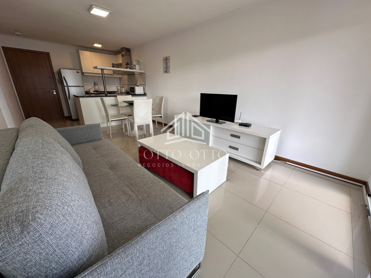 Apartamento ID.1595 - Apartamento en venta en primera linea Playa Mansa - parrillero