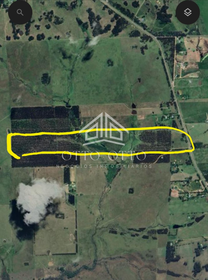 Chacra ID.27586 -  2 fracciones de campo, sexta sección judicial Padrones 23994 y 23999. Rita 104 kilómetro 8,5. A 4 del Museo Atchugarry