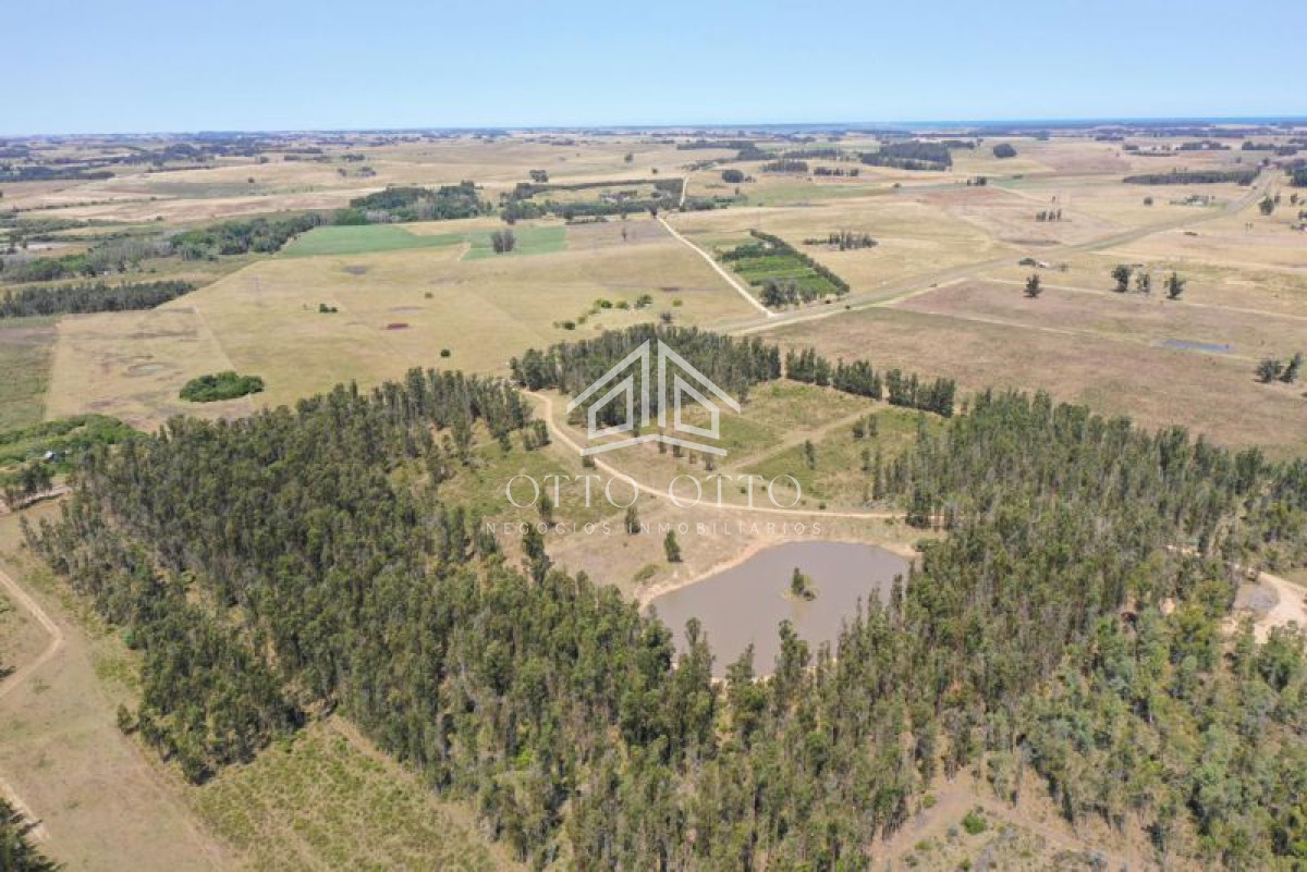 Manantiales - GoPunta - Portal Inmobiliario de Punta del Este - Maldonado