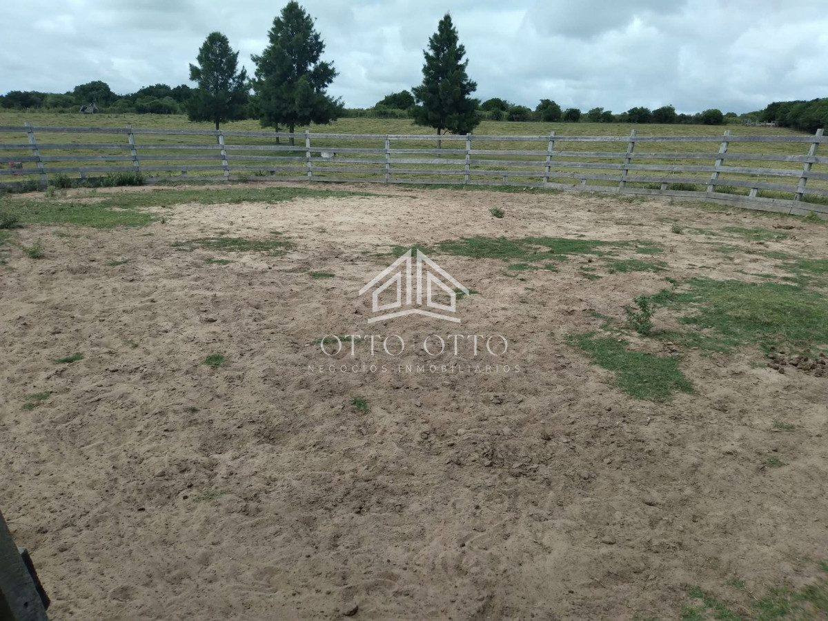 Pan de Azucar - GoPunta - Portal Inmobiliario de Punta del Este - Maldonado