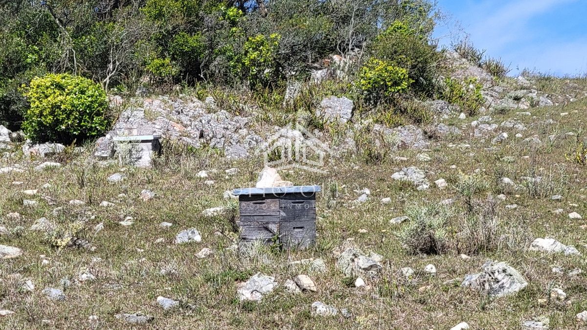 Chacra ID.27045 - Chacra a la venta en las Sierras de Maldonado