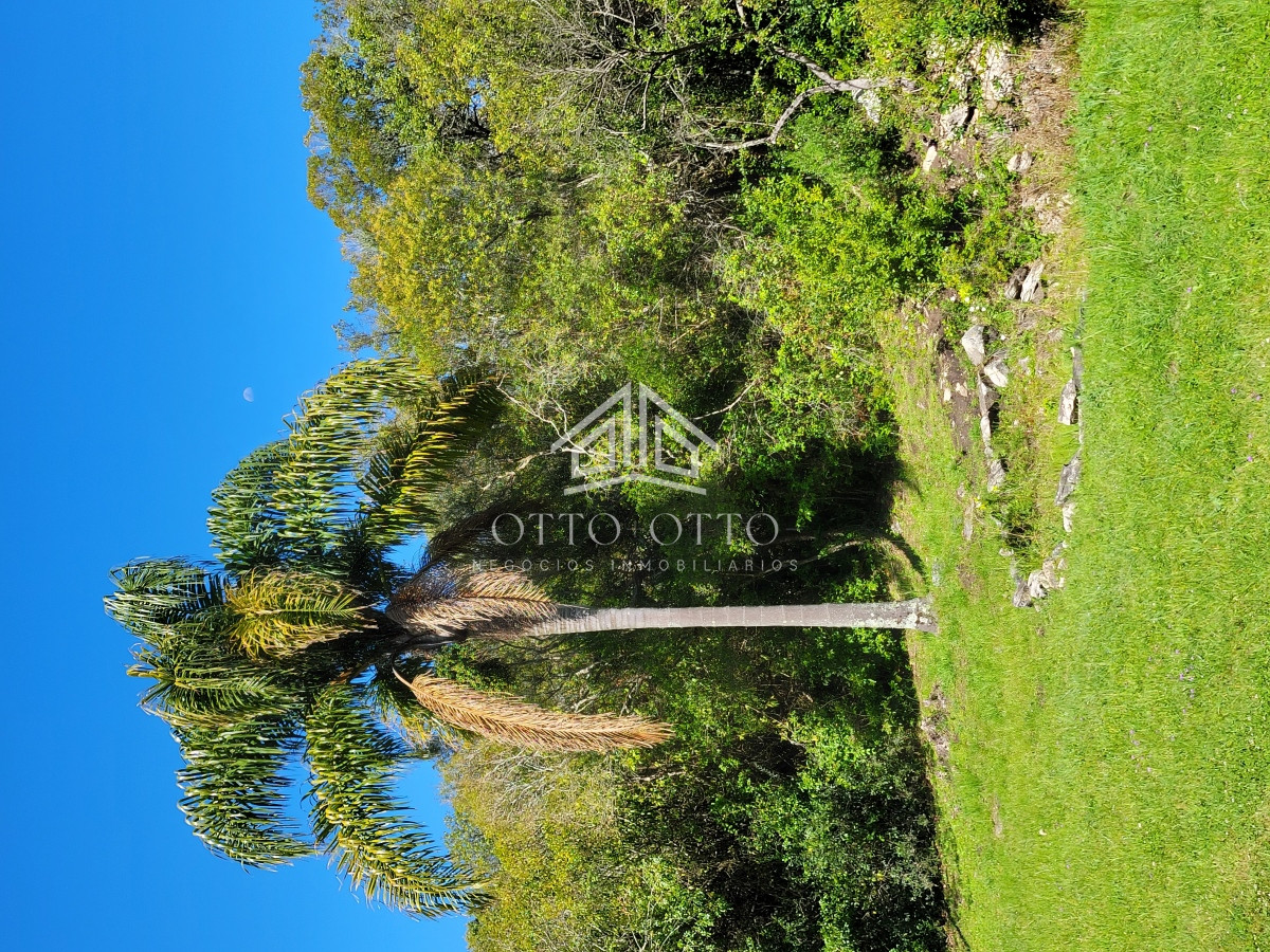 Chacra ID.27045 - Chacra a la venta en las Sierras de Maldonado