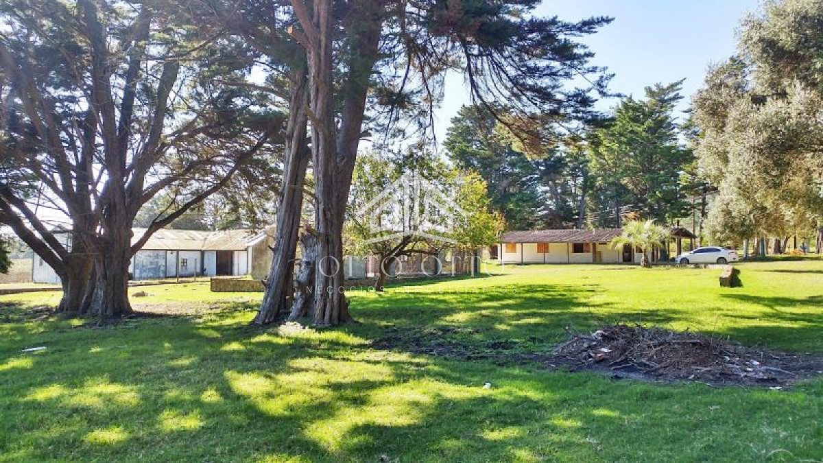 Chacra ID.4699 - Chacra en venta Laguna Del Sauce 1 dormitorio