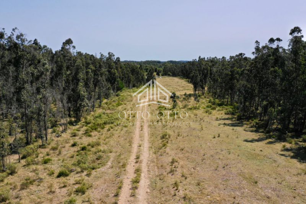 Chacra ID.5297 - Chacra en venta  monoambiente