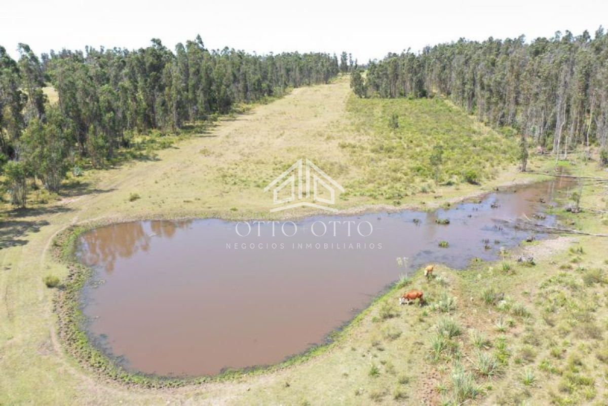 Chacra ID.5297 - Chacra en venta  monoambiente