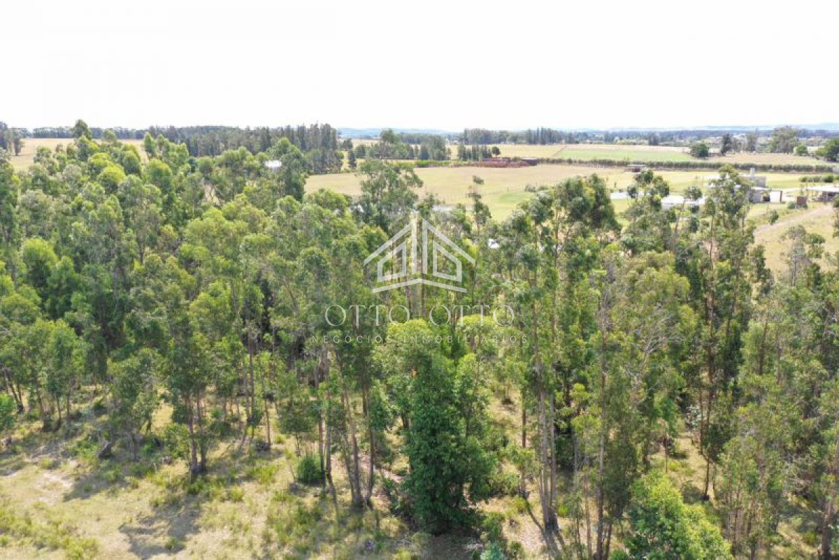 Chacra ID.5297 - Chacra en venta  monoambiente