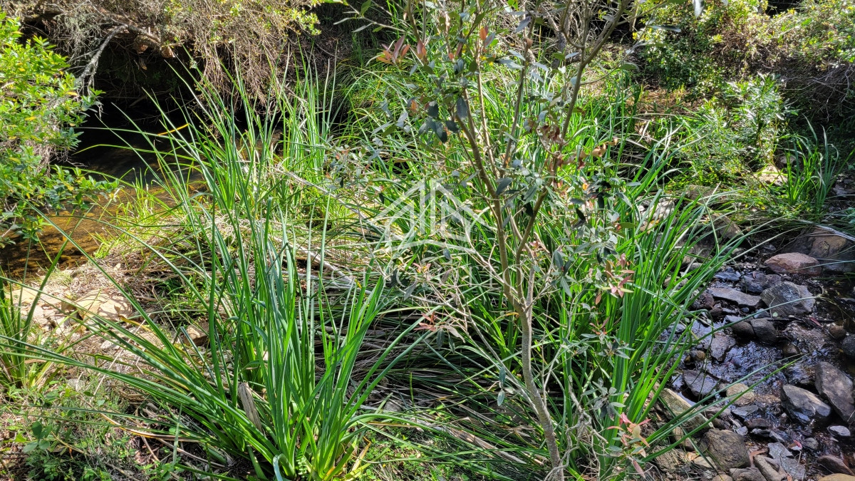 Chacra ID.27045 - Chacra a la venta en las Sierras de Maldonado