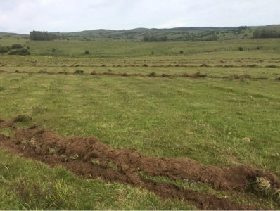 TERRENO EN PUEBLO EDEN