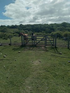 Venta Chacra 7 hectareas Pan de Azucar
