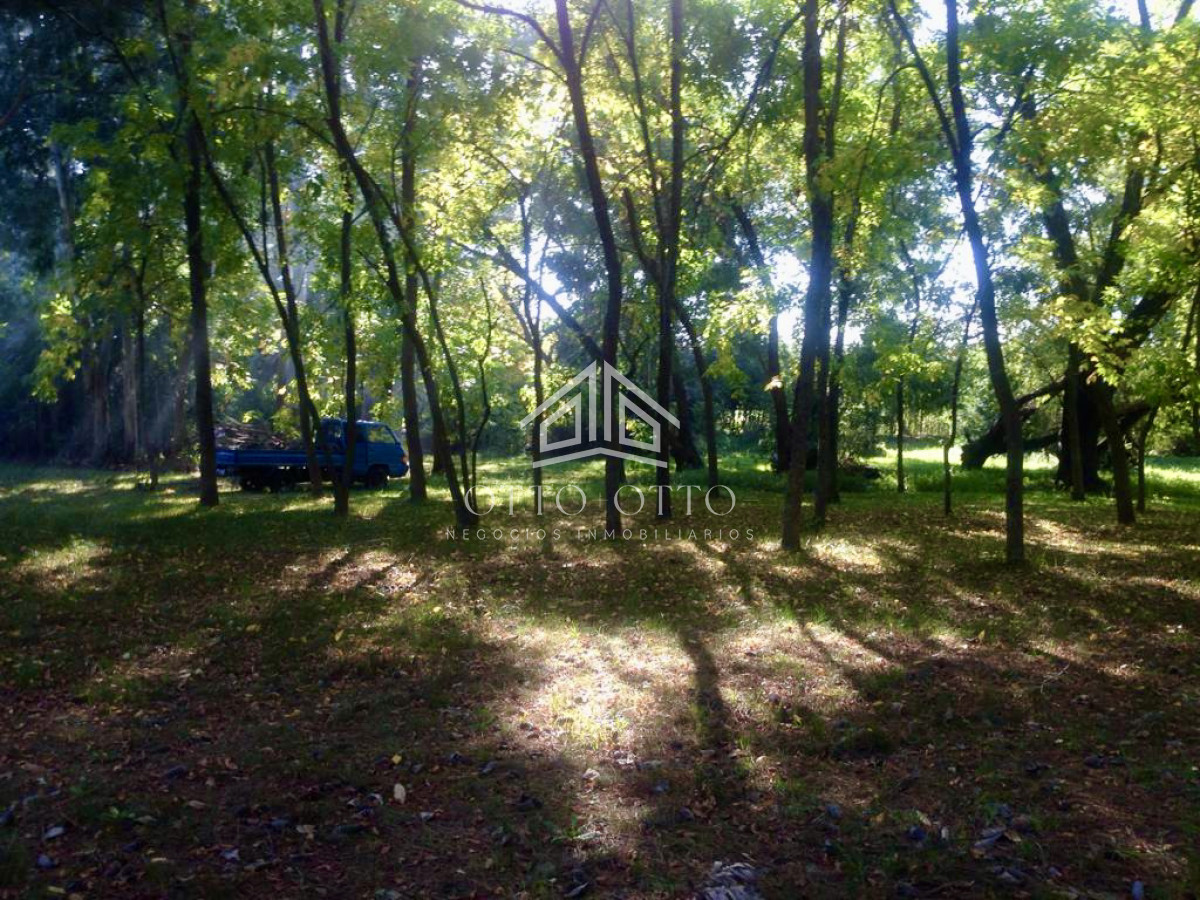 Terreno ID.24182 - Terreno en Maldonado, 