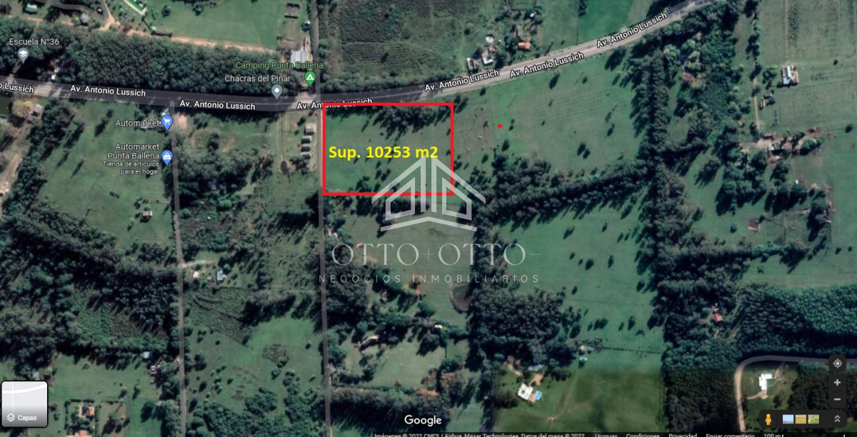 Terreno ID.25369 - Lote con + de 10.000 metros. Punta del Este. Camino Lussich