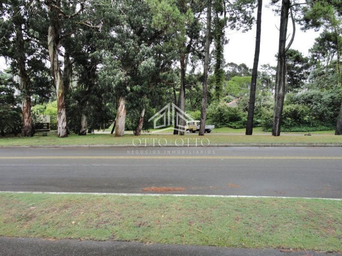 Terreno ID.663 - Terreno en venta para desarrollo en Punta del Este