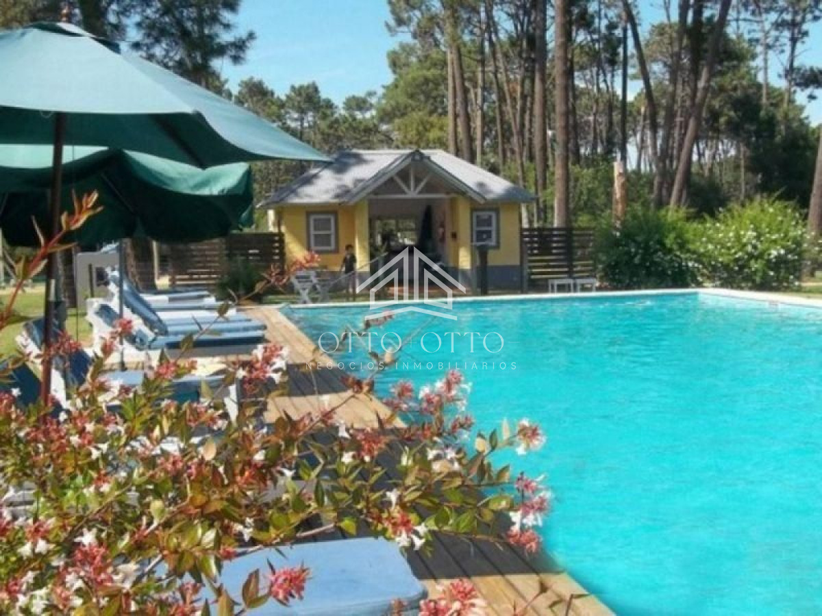 La Arbolada - GoPunta - Portal Inmobiliario de Punta del Este - Maldonado