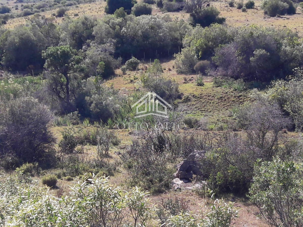 Terreno ID.25838 - Terreno en Aigua, Uruguay . 