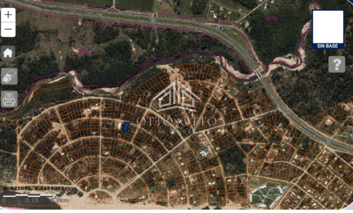 Chihuahua - GoPunta - Portal Inmobiliario de Punta del Este - Maldonado