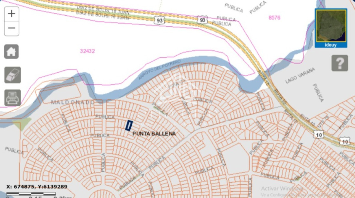 Chihuahua - GoPunta - Portal Inmobiliario de Punta del Este - Maldonado
