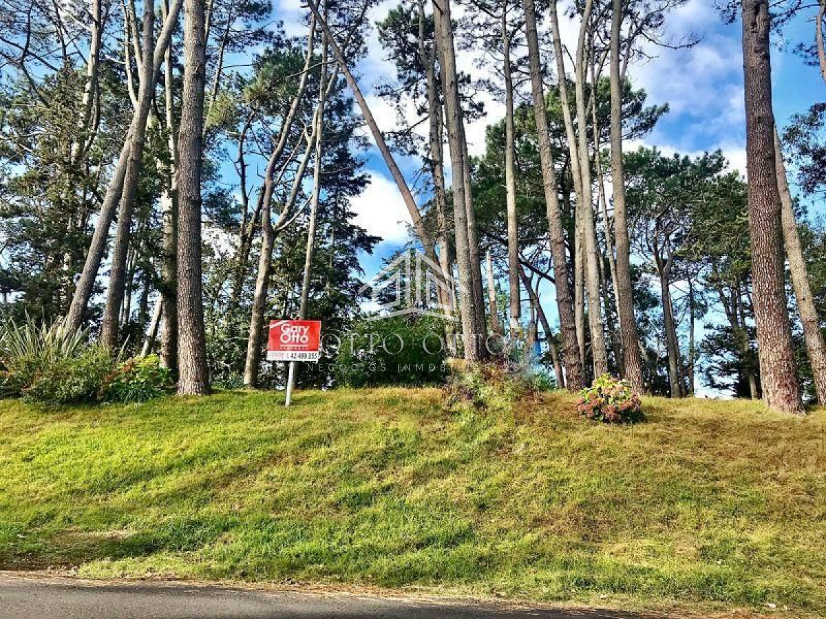Terreno ID.4652 - Terreno en venta Cantegril 
