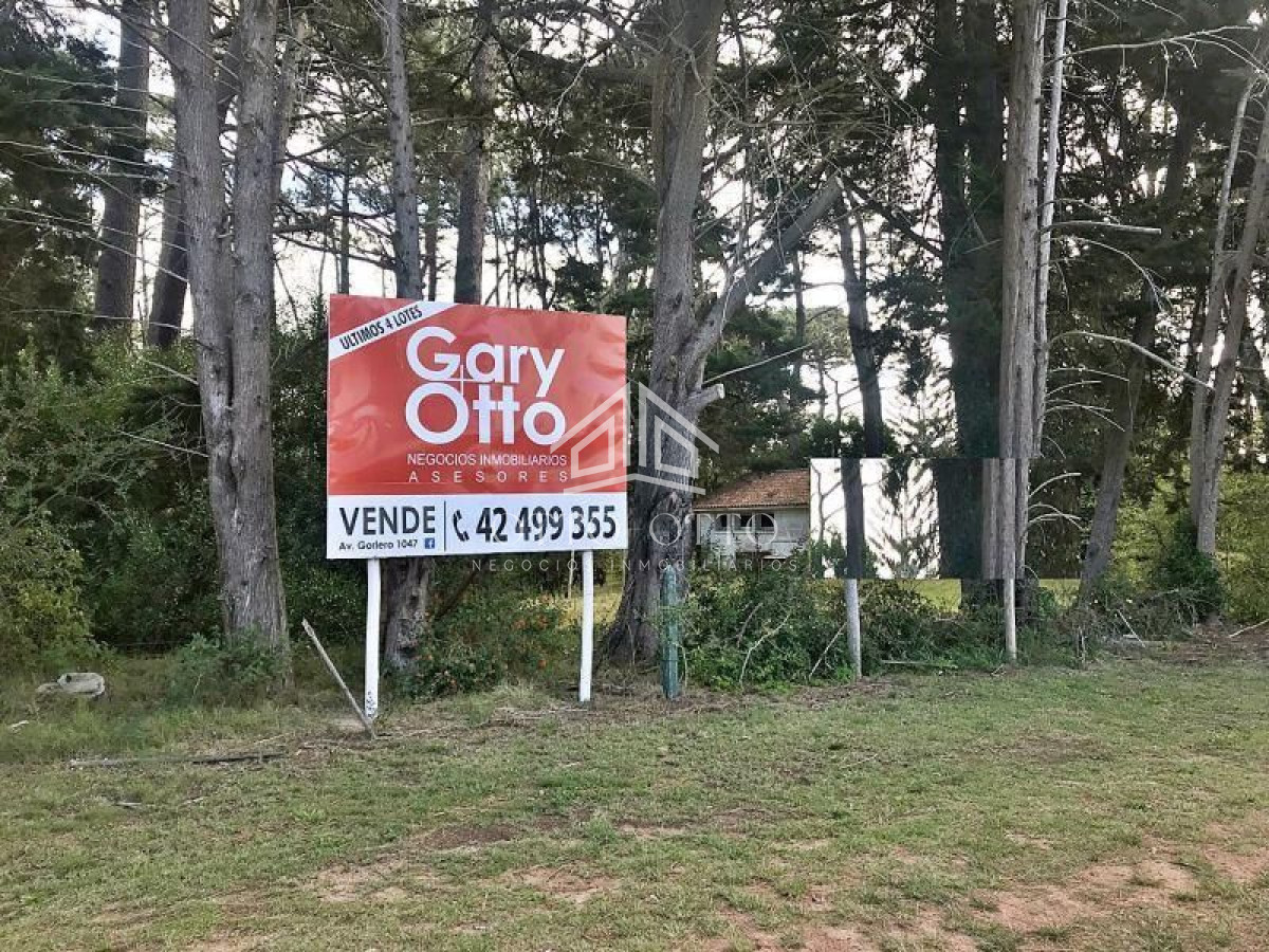 Terreno ID.4652 - Terreno en venta Cantegril 