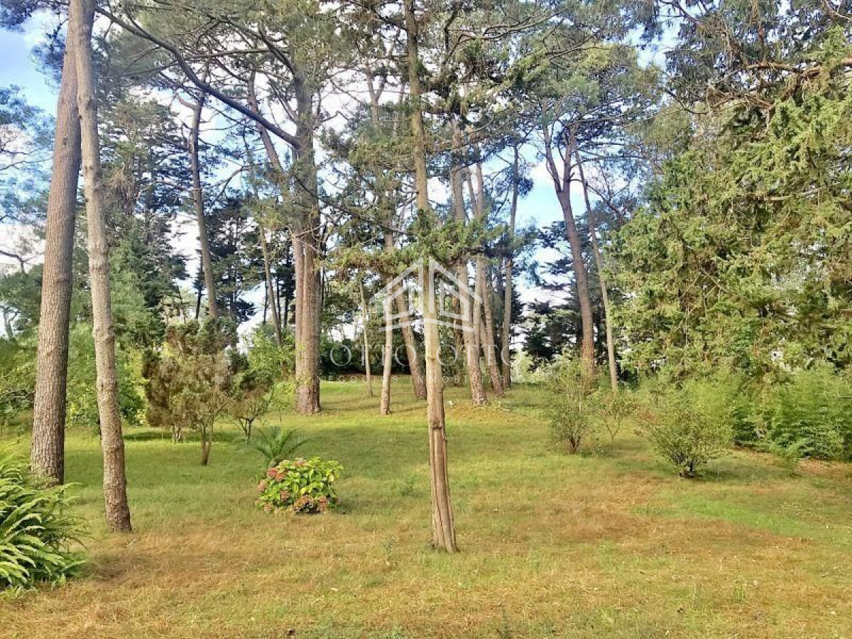 Terreno ID.4652 - Terreno en venta Cantegril 